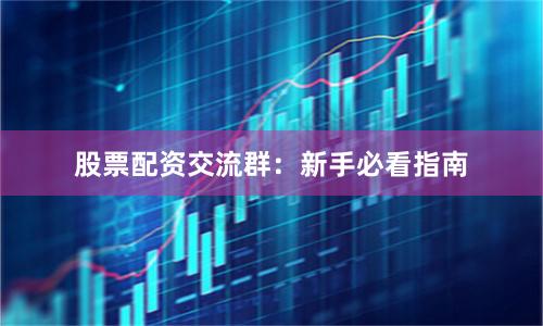 股票配资交流群：新手必看指南