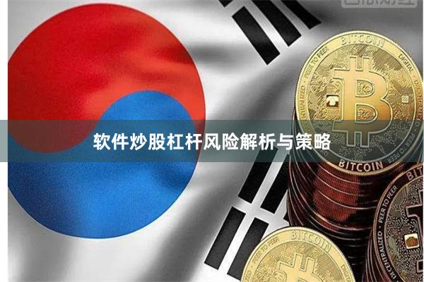 软件炒股杠杆风险解析与策略